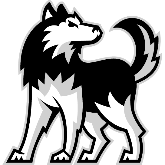 Northern Illinois Huskies 2001-Pres Alternate Logo iron on transfers for clothing